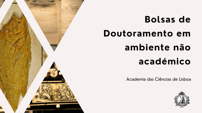 Noticia_Bolsas_Doc_Nao_Academico
