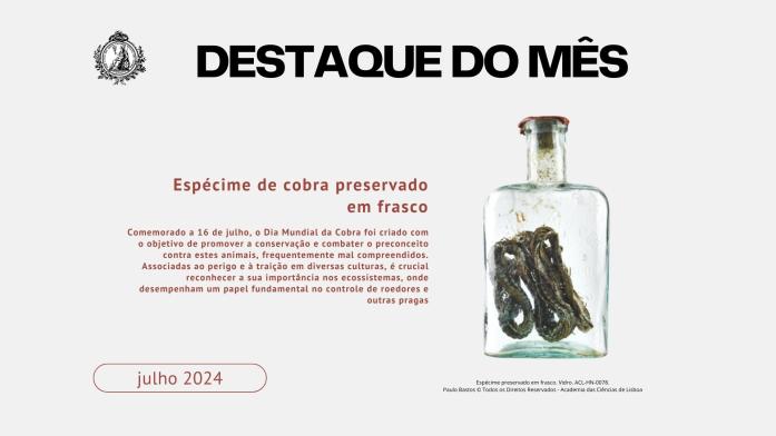 Museu ACL 2024_destaques (7)