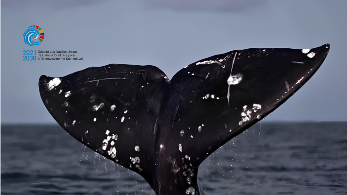 Noticia_Decada_Oceano_2024