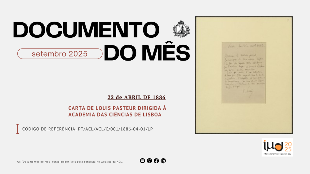 Destaque do Mês de setembro de 2025