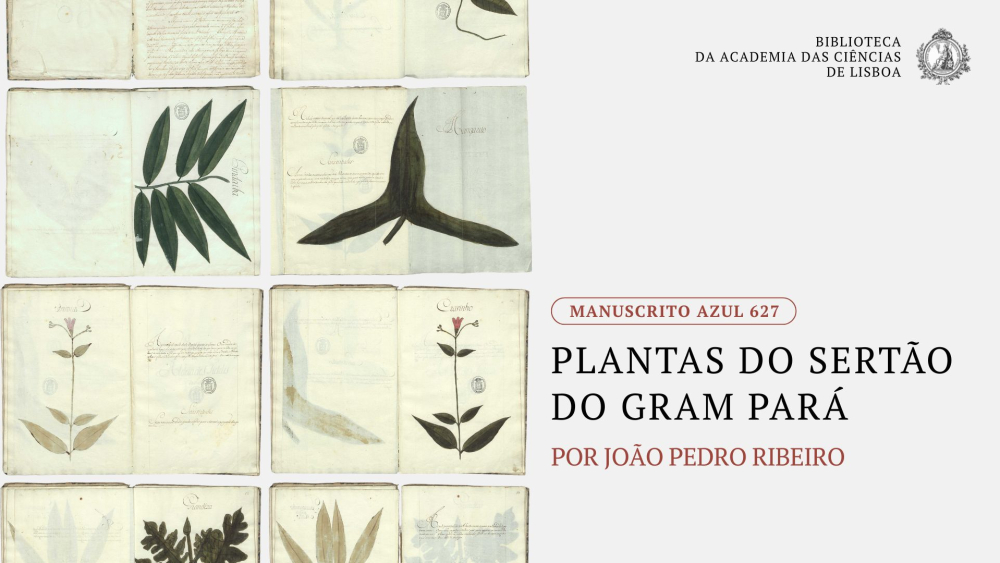 2025_site_destaqes_novembro_