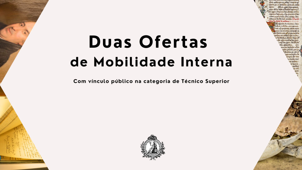 Mobilidade_Interna_2024