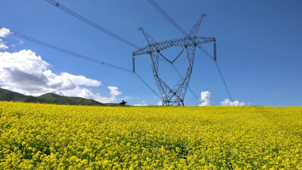 94eb23b6-7d73-b400-fc7e-cb86ab6f1e8a