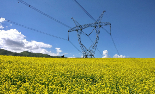 94eb23b6-7d73-b400-fc7e-cb86ab6f1e8a